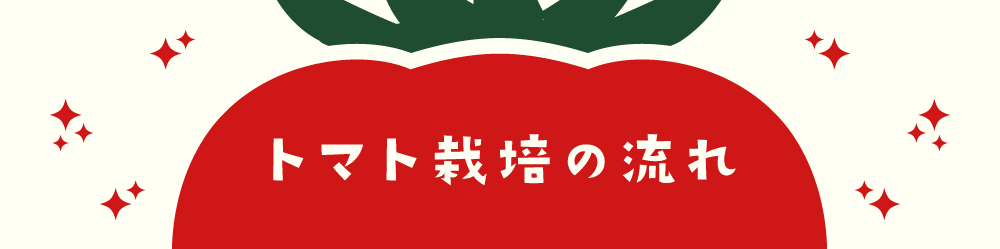 トマト栽培の流れ