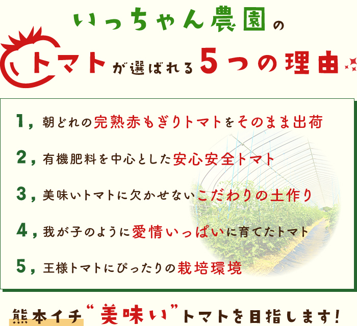 いっちゃん農園のトマトが選ばれる５つの理由