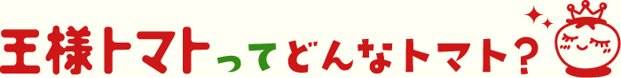 王様トマトってどんなトマト?