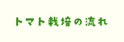 トマト栽培の流れ