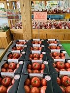 トマトの販売始まりました！